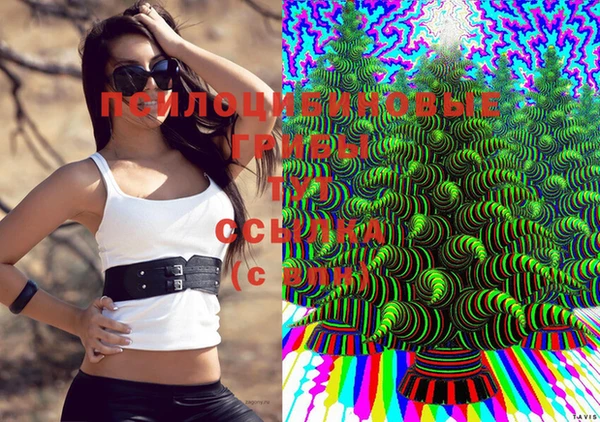 jwh Алексеевка