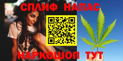 гашик Бийск