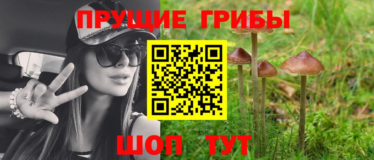 Псилоцибиновые грибы GOLDEN TEACHER Ишим